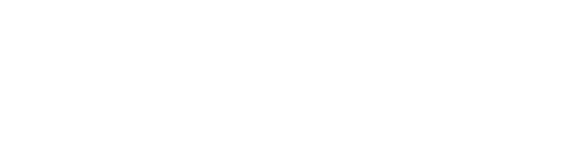 CHILE SHIPS SERVICES SPA
