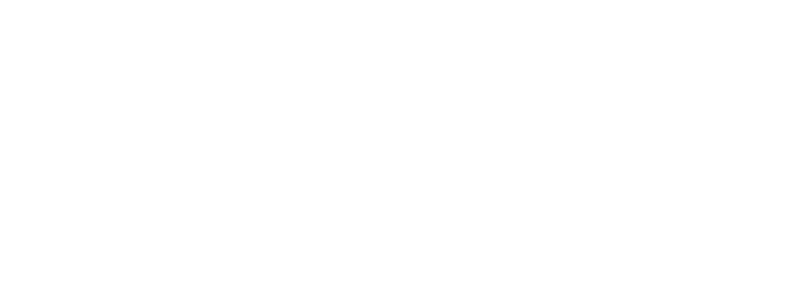 CHILE SHIPS SERVICES SPA